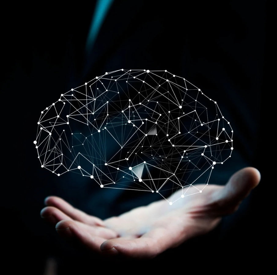 Energy Brain and Performance